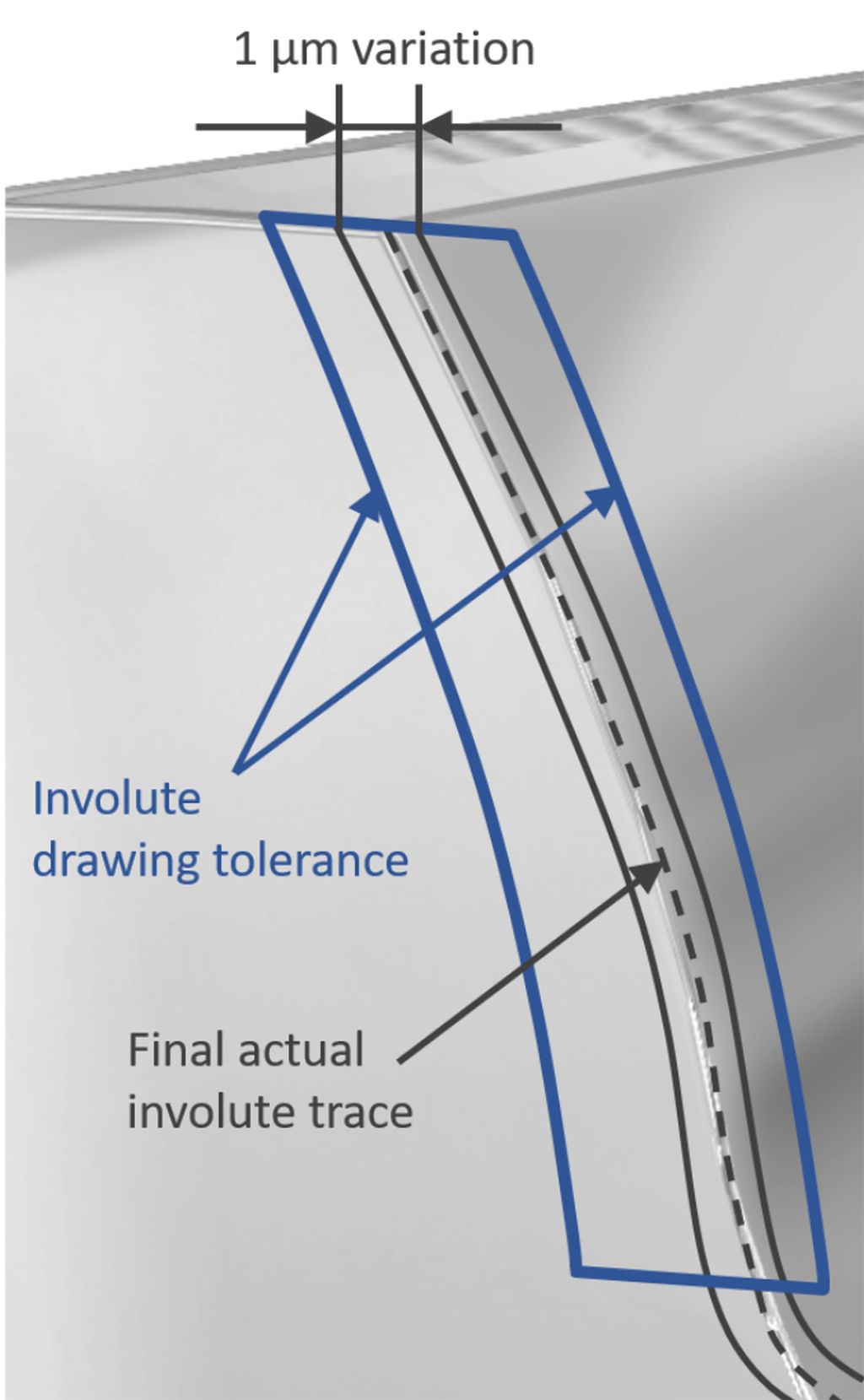 Diagram showing the calculated variation of material removal along involutes